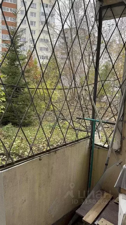 Торговая площадь в Калининградская область, Калининград ул. Согласия, ... - Фото 2