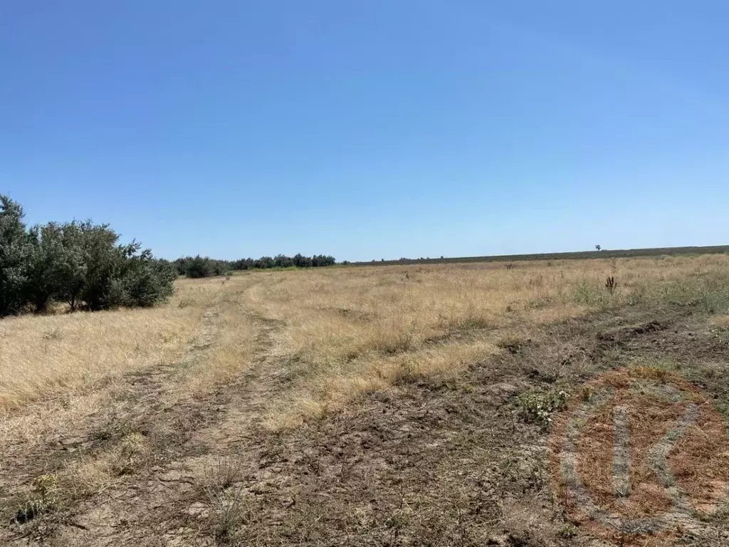 Участок в Крым, Сакский район, с. Добрушино  (4.0 сот.) - Фото 1