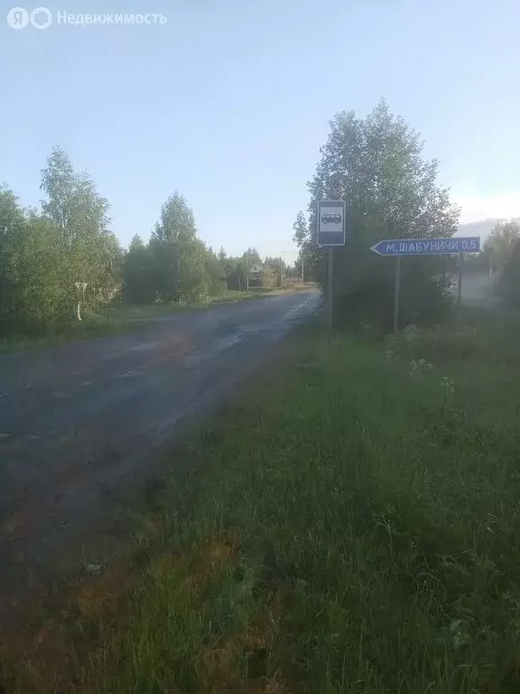 Участок в Пермский край, Краснокамский муниципальный округ, деревня ... - Фото 2
