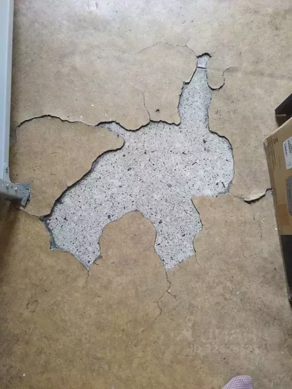 Помещение свободного назначения в Челябинская область, Снежинск ул. ... - Фото 2