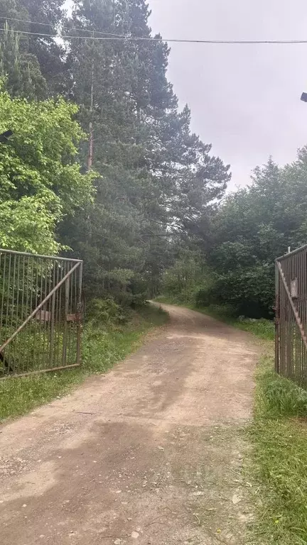Участок в Свердловская область, Белоярский муниципальный округ, Кедр ... - Фото 2