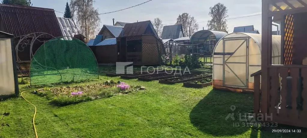 Дом в Новосибирская область, Тогучинский район, Кондитер СНТ 290 (50 ... - Фото 0