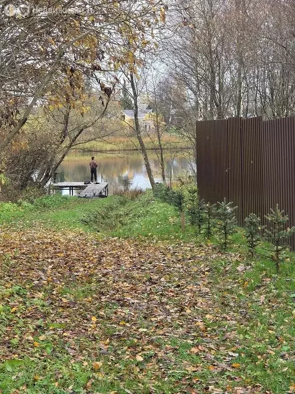 Участок в Тверская область, Калязинский муниципальный округ, деревня ... - Фото 1