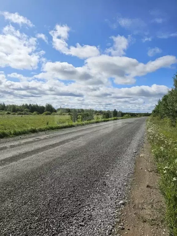 Участок в Тюменская область, Тюменский район, с. Салаирка  (12.0 сот.) - Фото 0
