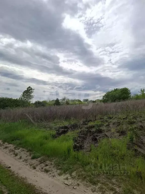 Участок в Белгородская область, Белгородский район, Поселок Разумное ... - Фото 1