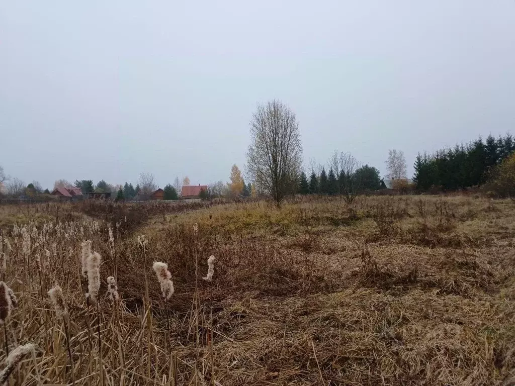 Участок в Московская область, Сергиево-Посадский городской округ, д. ... - Фото 1