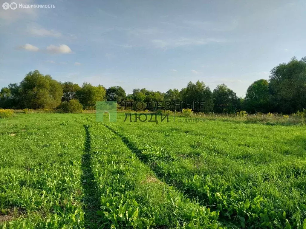 Участок в Орловский муниципальный округ, деревня Медведево, ... - Фото 1