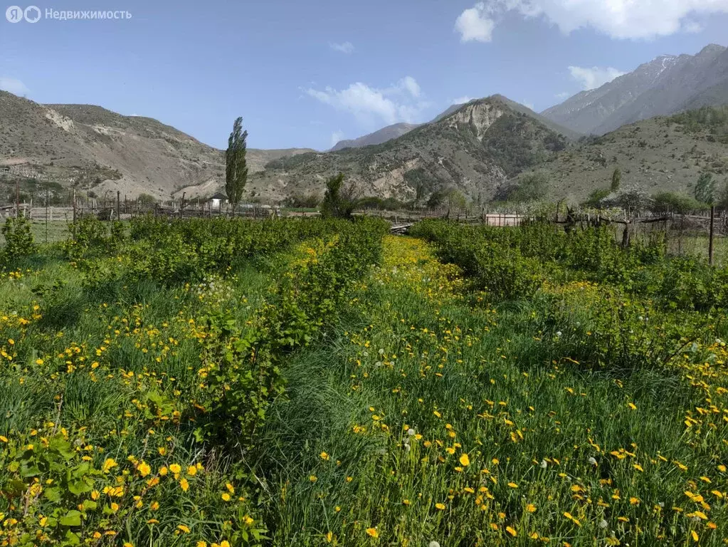 Участок в Черекский район, село Верхняя Балкария (20 м) - Фото 2