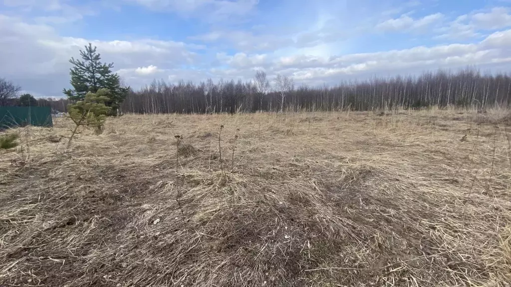 Участок в Московская область, Клин городской округ, д. Новая  (8.51 ... - Фото 1