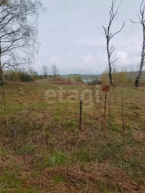 Участок в Костромская область, Красносельский район, Прискоковское ... - Фото 1
