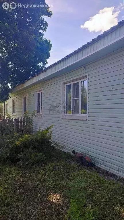 Дом в деревня Дворищи, Школьная улица, 24 (48.4 м) - Фото 2