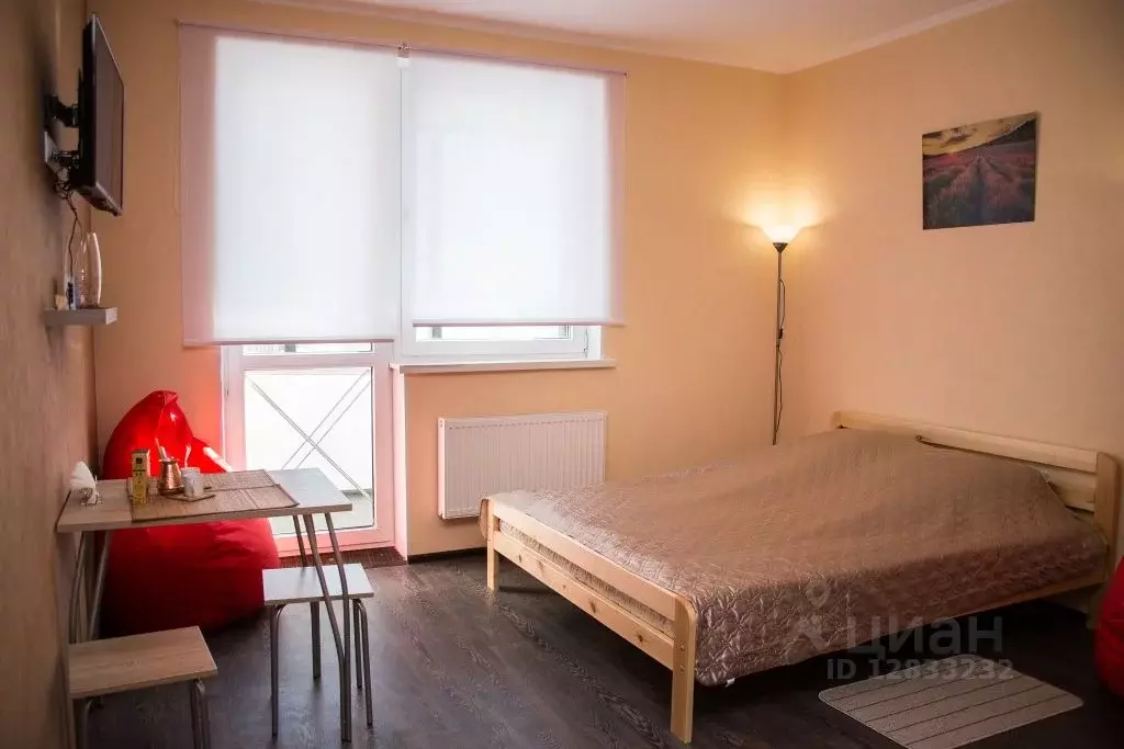 1-к кв. Рязанская область, Рязань Московское ш., 33к4 (28.0 м) - Фото 1