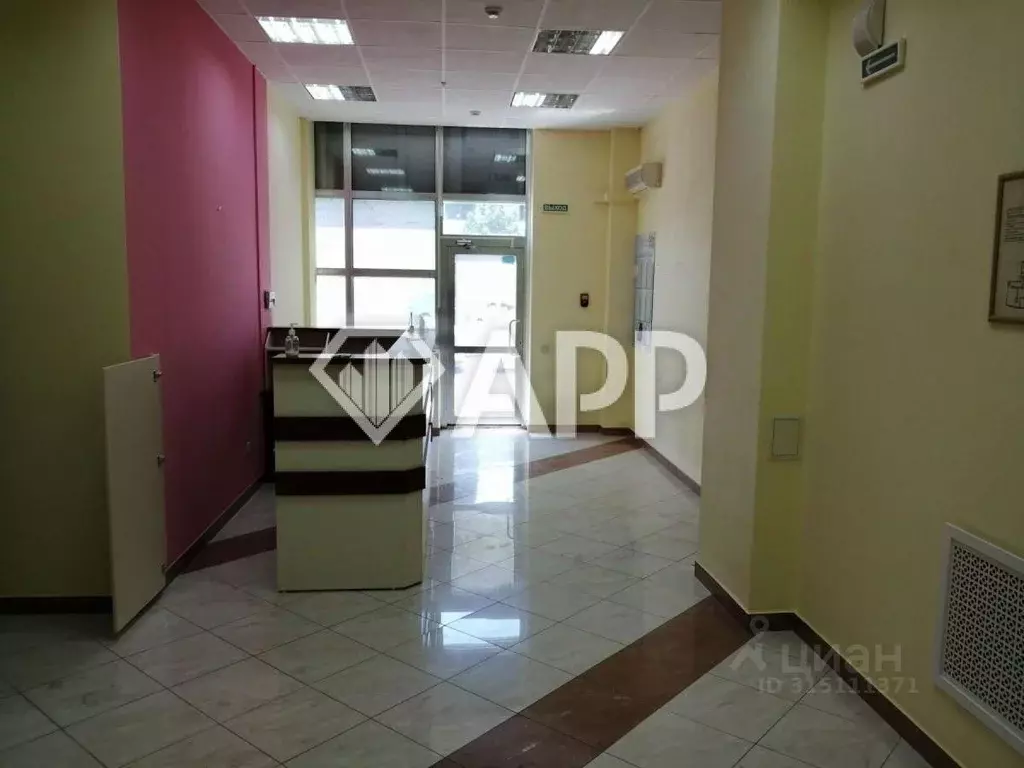 Помещение свободного назначения в Краснодарский край, Новороссийск ул. ... - Фото 1