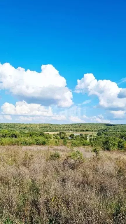 Участок в Краснодарский край, Крымский район, Нижнебаканское с/пос, ... - Фото 1