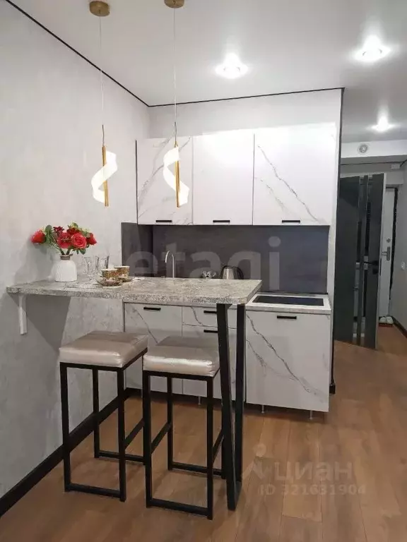 Студия Башкортостан, Уфа ул. Менделеева, 137к3 (25.2 м) - Фото 1