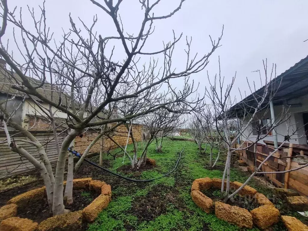 Дом в Крым, Симферопольский район, Николаевское с/пос, с. Тепловка ул. ... - Фото 2