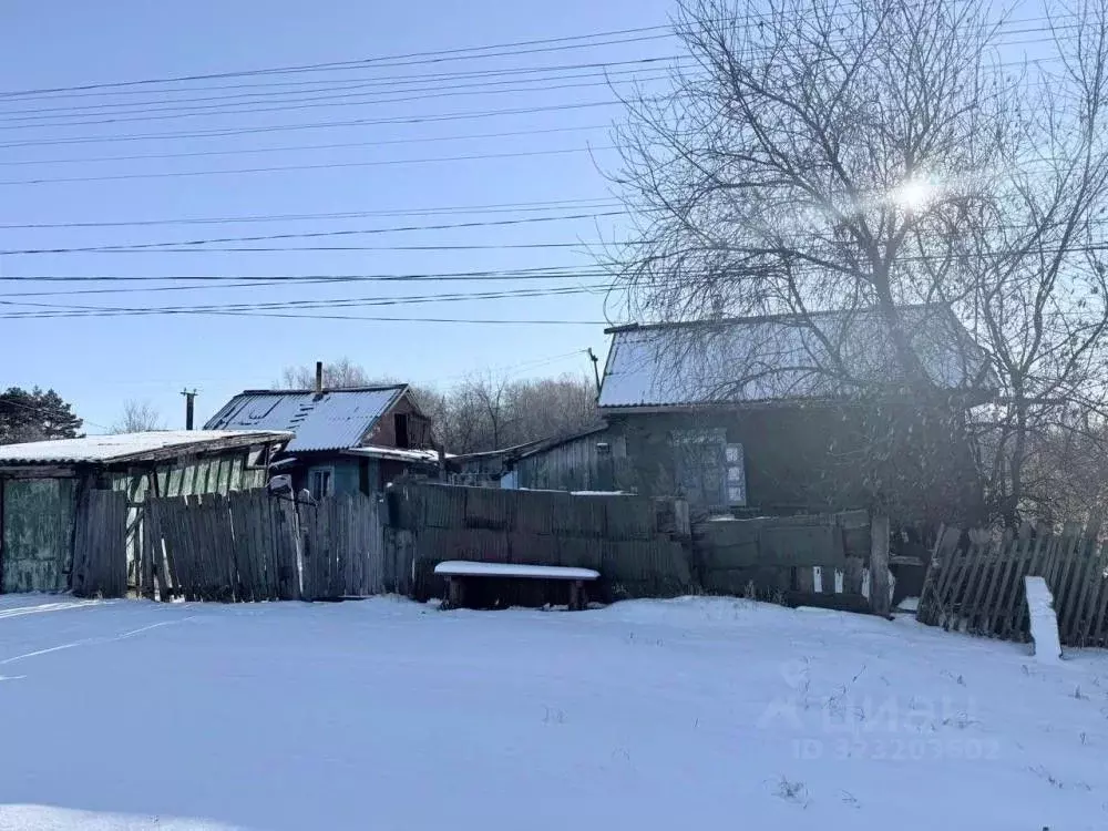 Дом в Амурская область, Белогорский муниципальный округ, с. Амурское ... - Фото 1