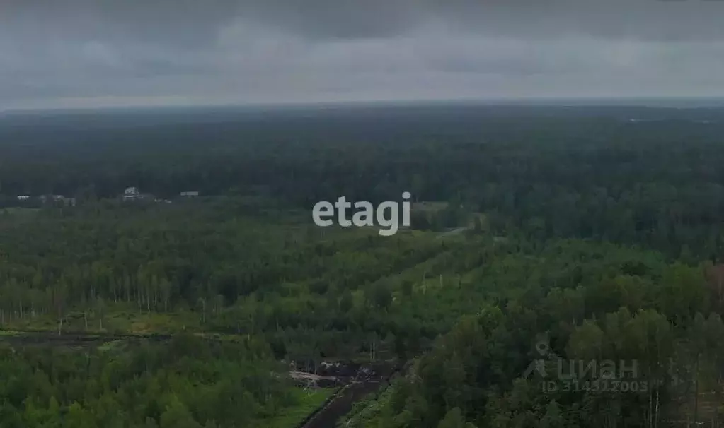 Участок в Ленинградская область, Всеволожский район, Колтушское ... - Фото 1