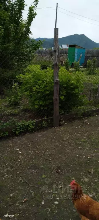 Дом в Красноярский край, Шушенский муниципальный округ, с. Сизая ул. ... - Фото 2