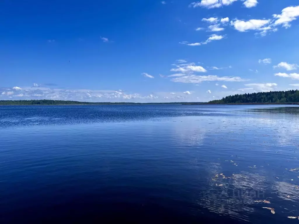 Участок в Ленинградская область, Выборгский район, Красносельское ... - Фото 1