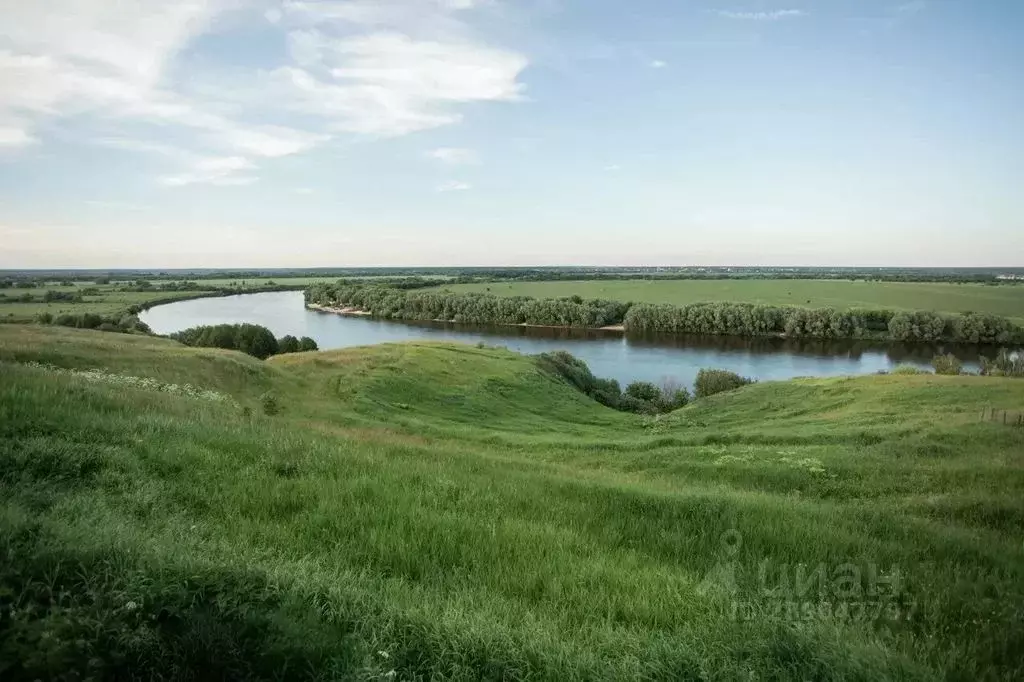 Дом в Московская область, Луховицы муниципальный округ, д. Перевицкий ... - Фото 1