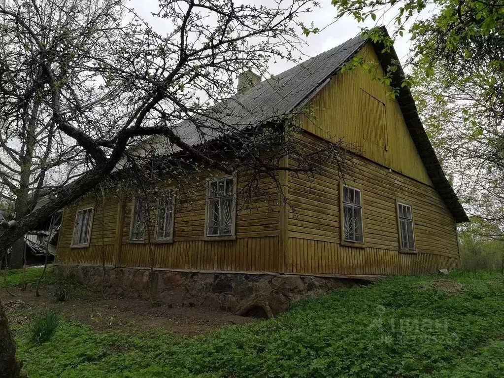 Помещение свободного назначения в Псковская область, Печорский ... - Фото 1