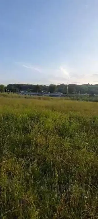 Участок в Алтайский край, Алтайский район, Айский сельсовет, с. Ая ул. ... - Фото 1