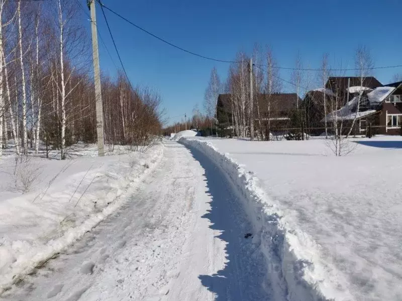 Участок в Новосибирская область, Новосибирский район, Станционный ... - Фото 0