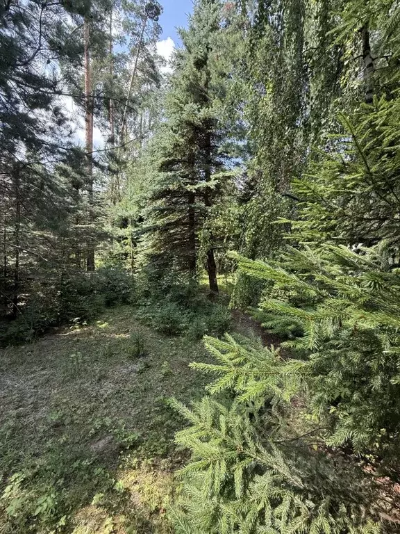 Участок в Московская область, Одинцовский городской округ, пос. ... - Фото 1