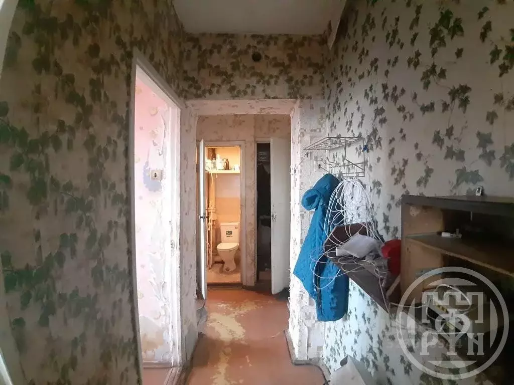 2-к кв. Ленинградская область, Приозерский район, Кузнечное пгт ул. ... - Фото 2