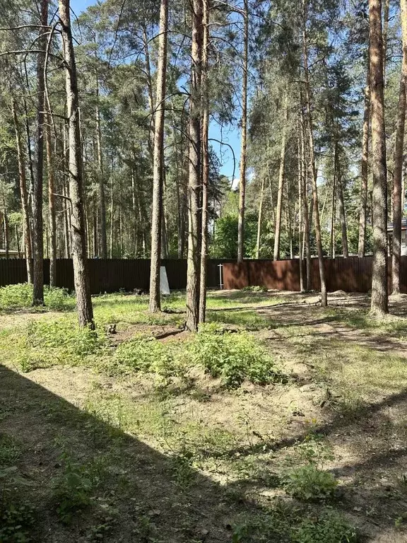 Участок в Московская область, Раменское ул. Тургенева (5.8 сот.) - Фото 0