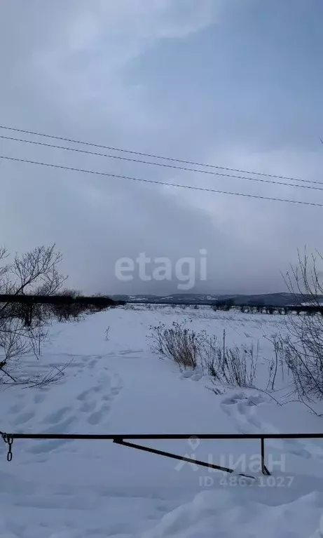 Участок в Сахалинская область, Анивский городской округ, с. Мицулевка  ... - Фото 1