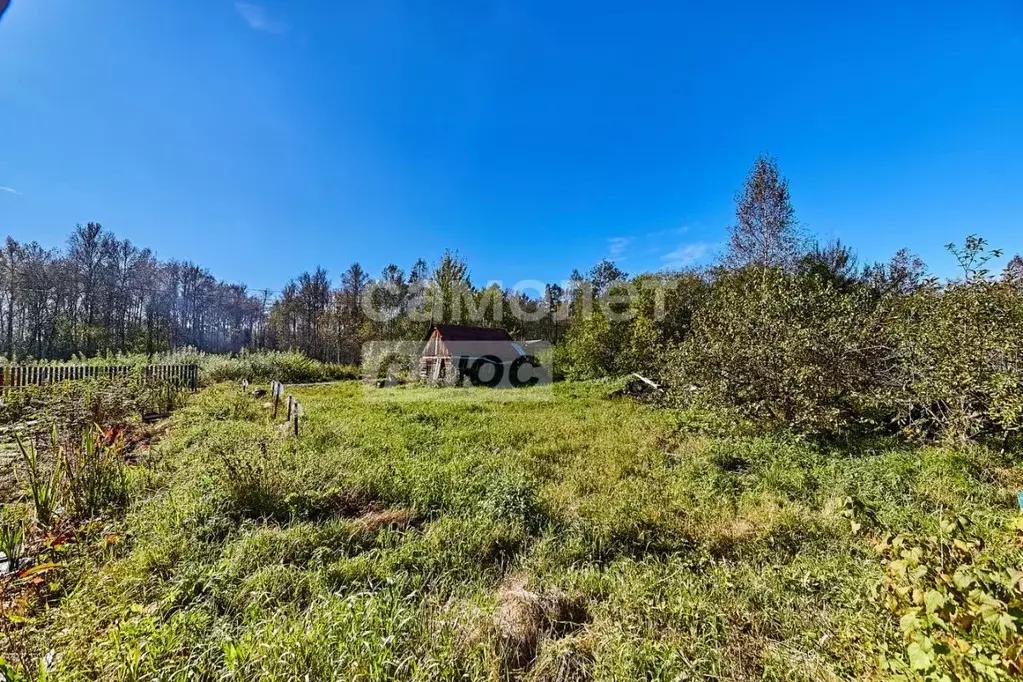 Участок в Томская область, Томский район, Лесная дача СНТ 267 (6.0 ... - Фото 1