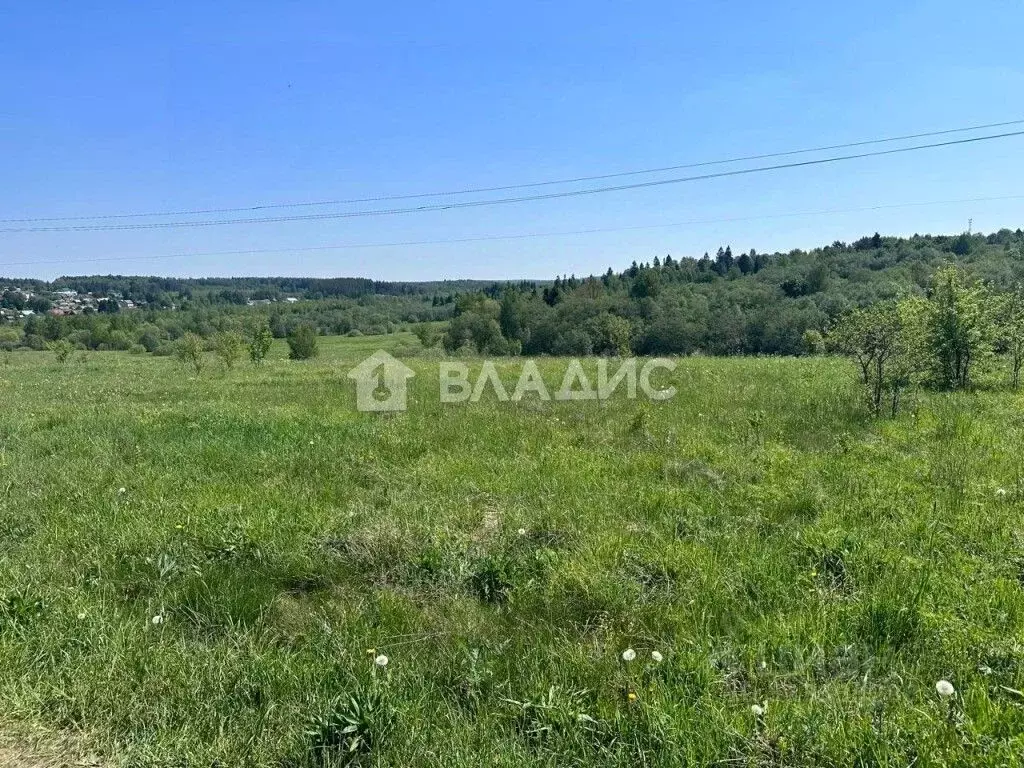 Участок в Владимирская область, Александровский район, ... - Фото 0