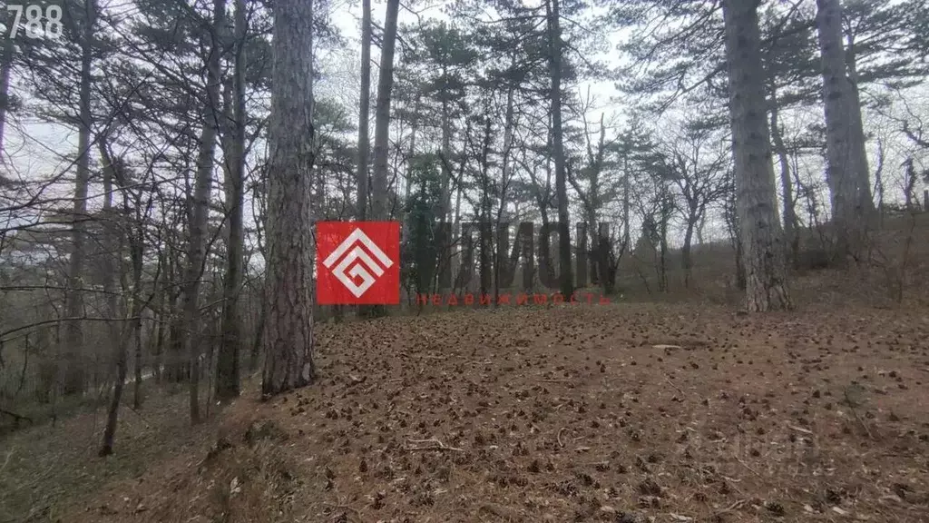 Участок в Крым, Ялта муниципальный округ, Виноградное пгт  (35.0 сот.) - Фото 2