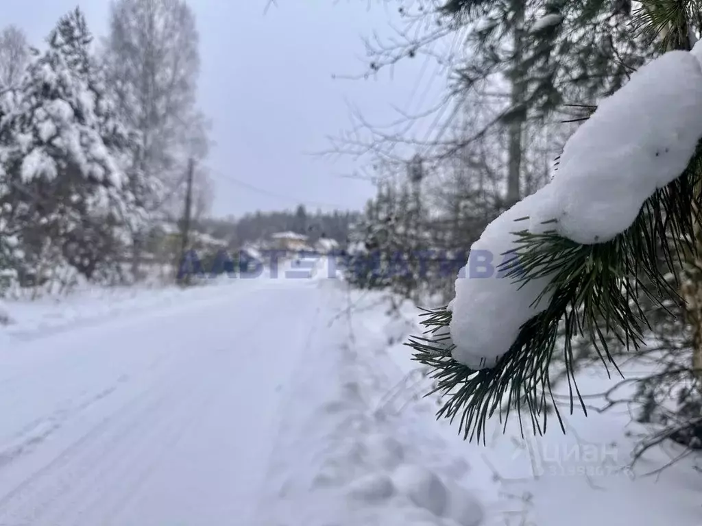 Участок в Ярославская область, Переславль-Залесский муниципальный ... - Фото 1