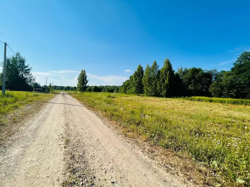 Участок в Московская область, Клин городской округ, Селинские Дачи ДНП ... - Фото 2