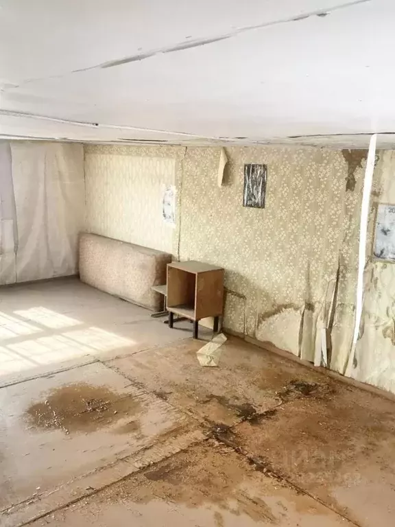 Дом в Омская область, Омск СОСН Птицевод-2 тер., аллея 14-я (45 м) - Фото 2