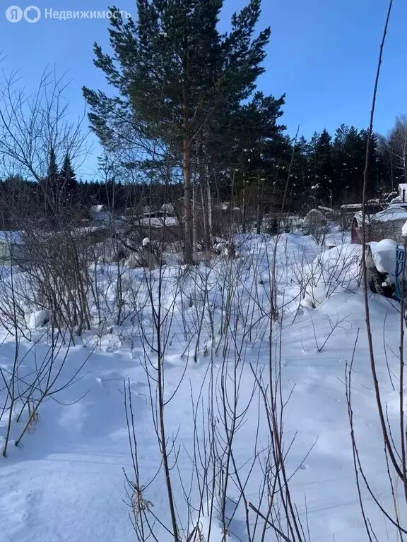 Участок в Златоуст, СНТ Швейник (6.69 м) - Фото 2