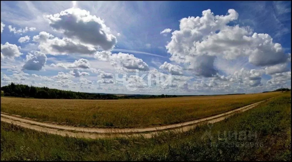 Участок в Нижегородская область, с. Безводное  (4.5 сот.) - Фото 2