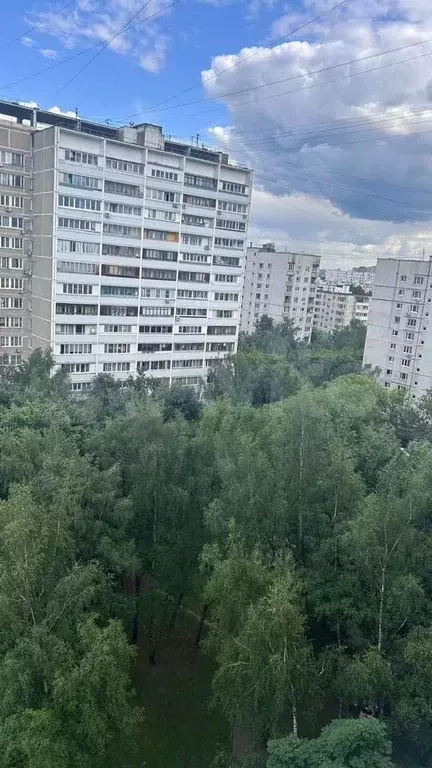 2-к. квартира, 50,8 м, 12/16 эт. - Фото 1