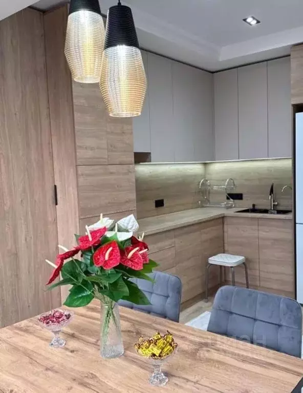 1-к кв. Краснодарский край, Сочи Гагарина мкр, пер. Рабочий (45.0 м) - Фото 1