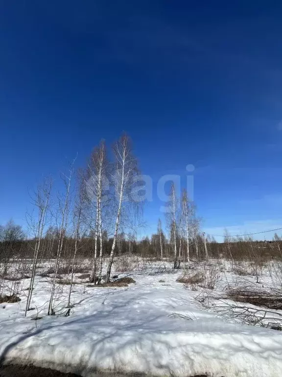 Участок в Калужская область, Козельск  (15.0 сот.) - Фото 1