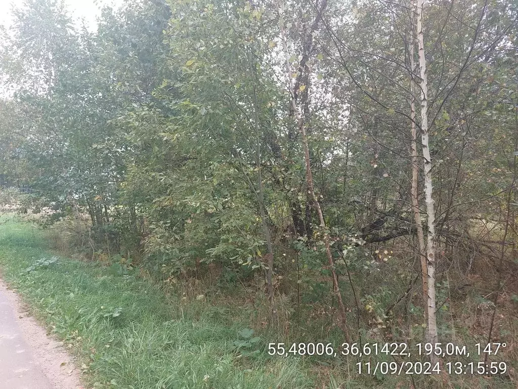 Участок в Московская область, Наро-Фоминский городской округ, д. ... - Фото 0