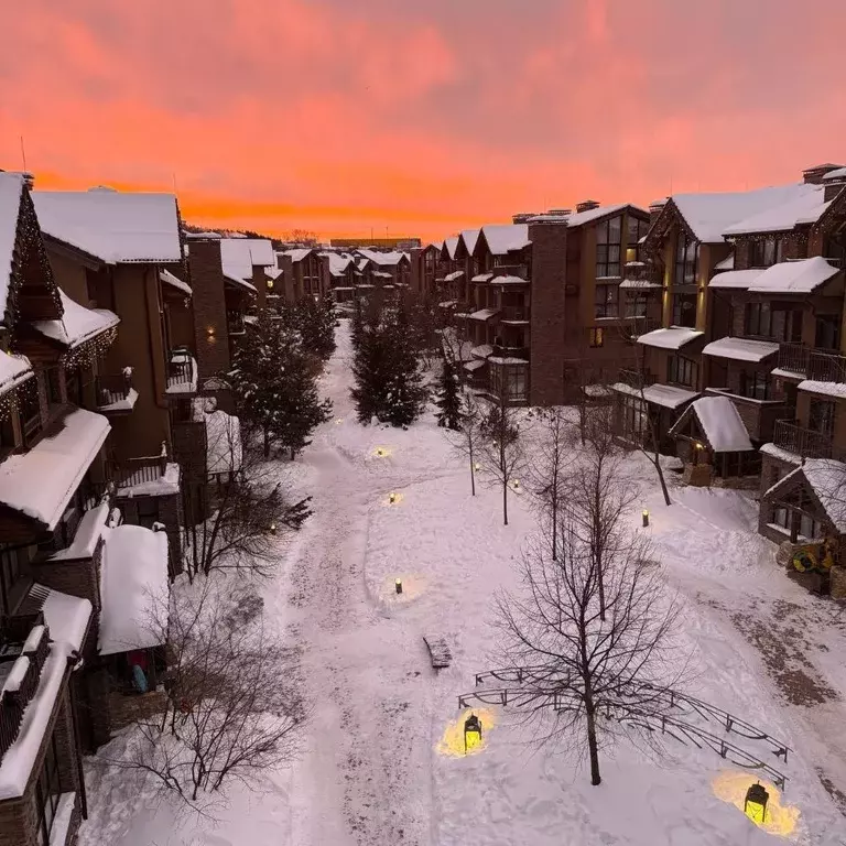 3-к кв. Московская область, Истра муниципальный округ, с. Павловская ... - Фото 2