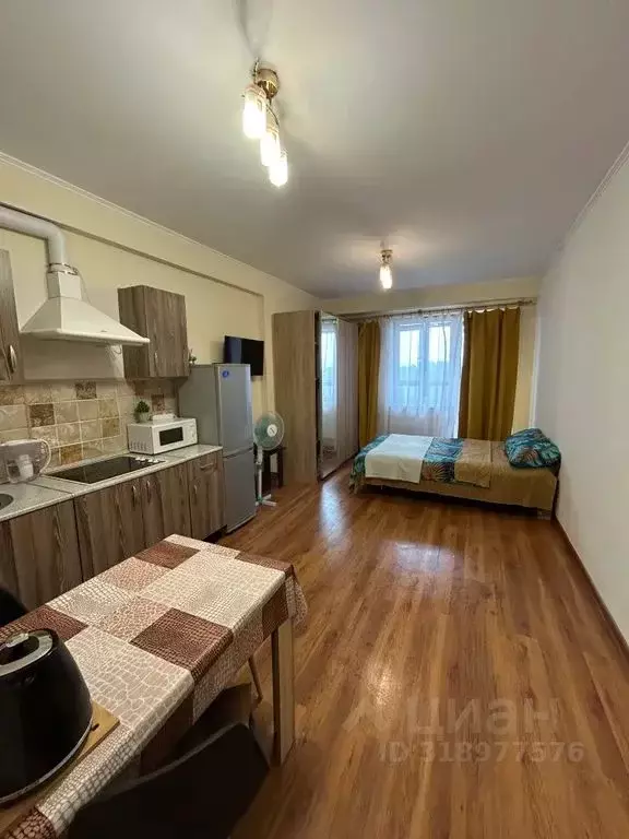 Студия Московская область, Старая Купавна Богородский городской округ, ... - Фото 1