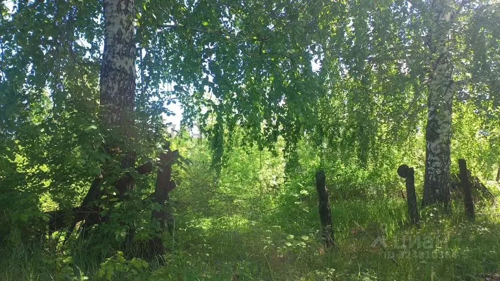 Участок в Алтай, Горно-Алтайск пл. Ленина (5.5 сот.) - Фото 1