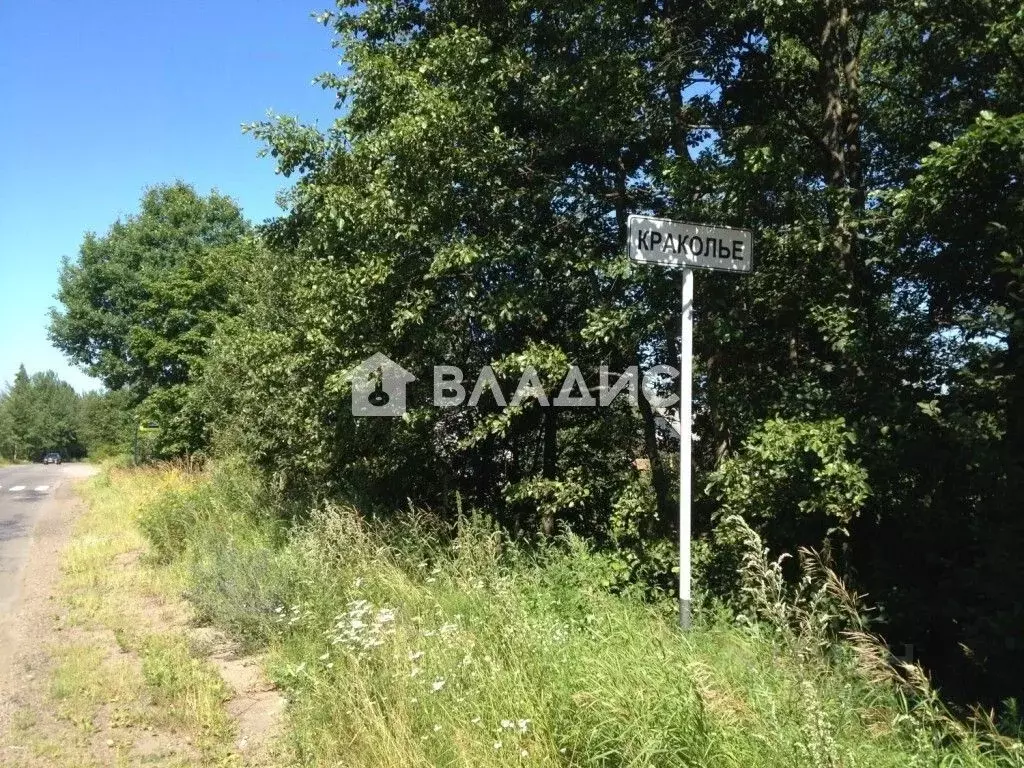 Участок в Ленинградская область, Кингисеппский район, пос. Усть-Луга, ... - Фото 1