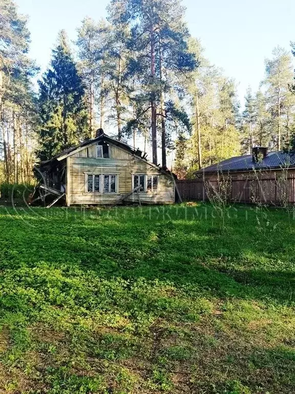 Поселок песочный ленинградская ул. Песочное Ленинградская область.