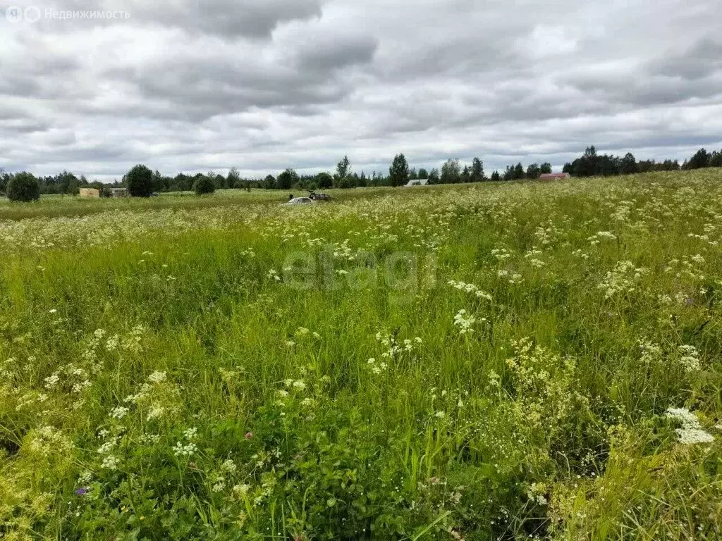 Участок в Вологодская область, Череповецкий муниципальный округ, село ... - Фото 2